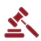 Litigation-and-Turkey-icon